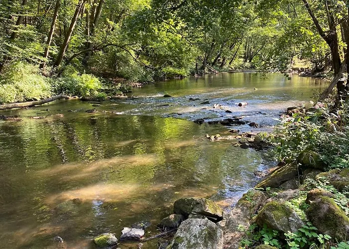 Ingrid - Ruhige Nahe Teufelsschlucht In Der Suedeifel 公寓 *